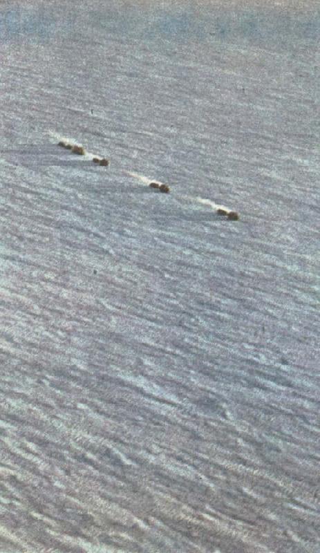 william r clark fuchs karavan av snovesslor startar mot sydpolen fran shackletonlagret vid weddellhavet china oil painting image